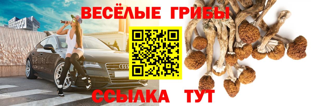 Галлюциногенные грибы Cubensis Великий Устюг